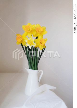 Beautiful fresh yellow daffodil flowers in full bloom. Beautiful fresh yellow daffodil flowers in full bloom. 65435009
