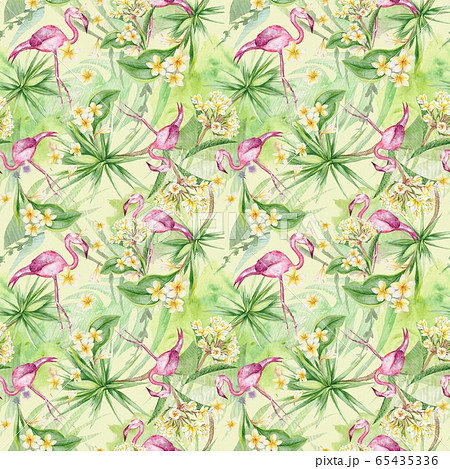 Tropical flamingo and plumeria flowers seamless pattern 65435336