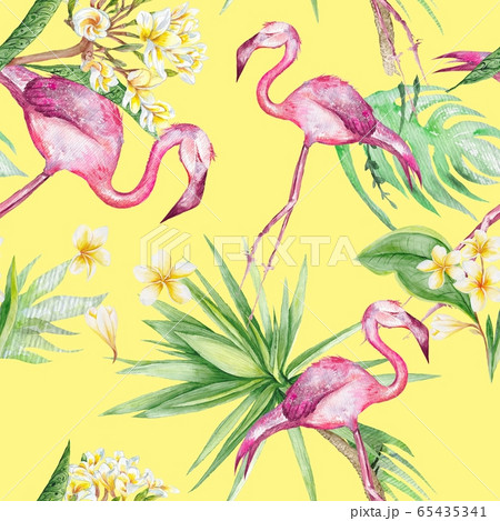 Tropical Flamingo And Plumeria Flowers Seamless のイラスト素材