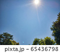 青空と樹木 65436798