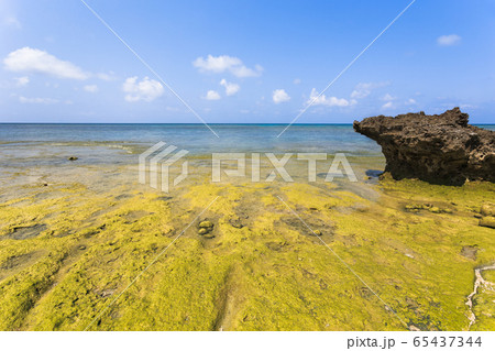 日本最南端、沖縄県波照間島・浜辺の風景 65437344
