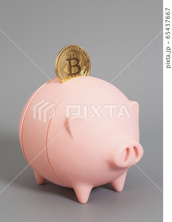 Piggy bank with One Golden Bitcoin coin (new Piggy bank with One Golden Bitcoin coin (new 65437667