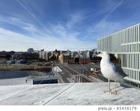 オスロ・オペラハウス 65438179