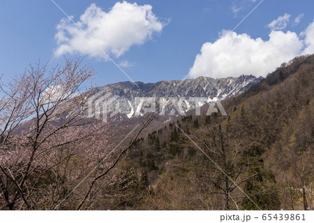 国立公園大山＿南壁＿鍵掛峠よりの眺め＿春 65439861