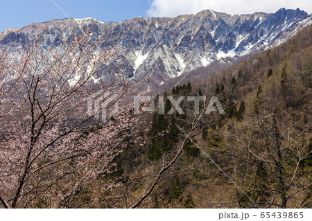 国立公園大山＿南壁＿鍵掛峠よりの眺め＿春 65439865