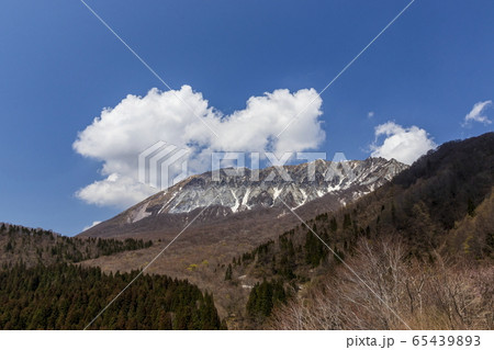 国立公園大山＿南壁＿鍵掛峠よりの眺め＿春 65439893