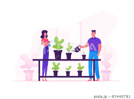 Man and Woman Spraying and Water Flowers on Shelf with Watering Can. Happy Romantic Couple Take Care of Home Plants and Flowers in Pots Enjoying Gardening Hobby. Cartoon Flat Vector Illustration 65440781