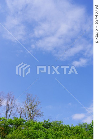 青空と緑の背景素材 青空と緑の背景素材 65440793