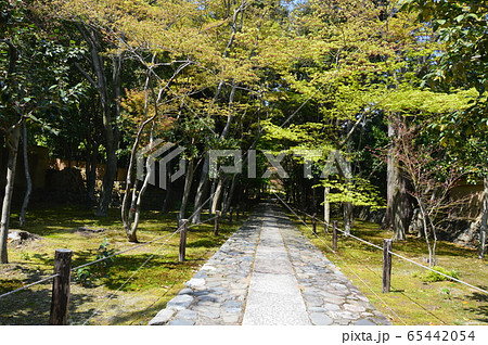 鹿王院の庭園（京都市右京区嵯峨北堀町） 65442054