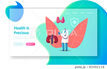 Medical Staff Endocrinology Health Care, Hormone Disease Disbalance Website Landing Page. Doctor Endocrinologist 65442119