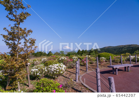 （静岡県）ツツジ咲く初夏の十国峠　富士山眺望 65442207