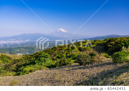 (静岡県)伊豆スカイラインから望む、富士山 (静岡県)伊豆スカイラインから望む、富士山 65442431
