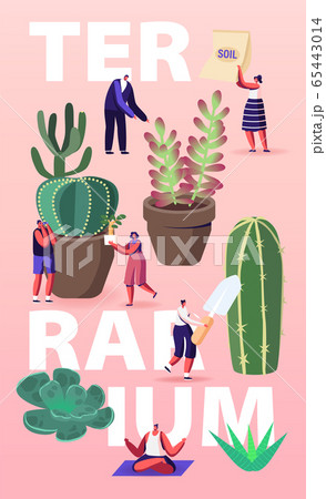Growing Plants in Terrarium Concept. Tiny Male and Female Characters Grow Cacti and Succulents in Pots at Home 65443014