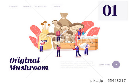 Tiny Characters Growing Mushrooms at Home Landing Page Template. Men and Women Gardening Hobby 65443217