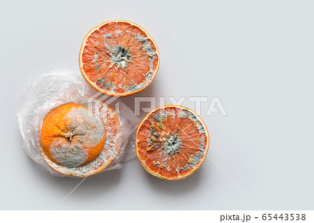 Ugly orange with mold in cellophane. Top view. 65443538