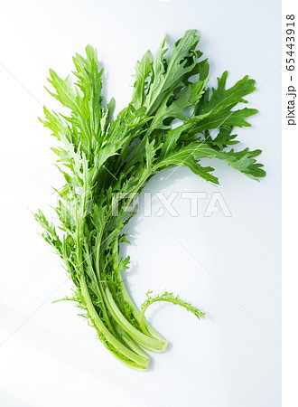 からし菜 65443918