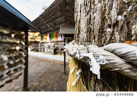 秋保大滝不動尊　西光寺おみくじ結び所 65444666