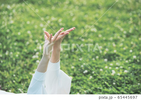 芝生でくつろぐ女性 芝生でくつろぐ女性 65445697