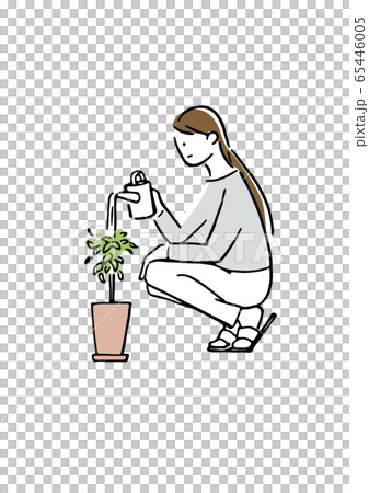 水やり 65446005