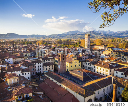 Panoramic view of Lucca medieval town with typical terracotta tiled roofs and narrow streets, Tuscany, Italy 65446350