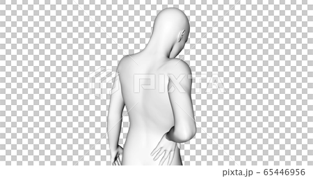 Low back pain 65446956