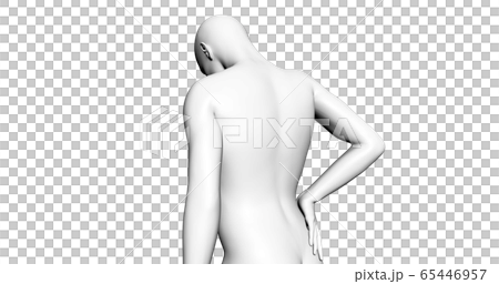 腰痛 65446957