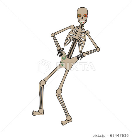 Isolated decorated skeleton Isolated decorated skeleton 65447636