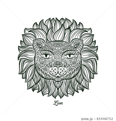 Vector illustration. Lion. Vector illustration. Lion. 65448752
