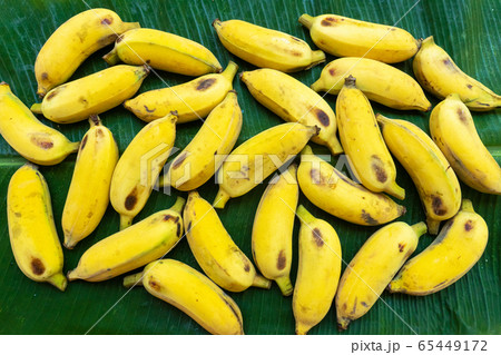 Flat lay layout of yellow bananas on a green 65449172