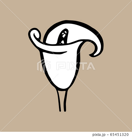 Doodle Calla Lily. Single Tropical flower isolated on beige background. Hand drawn Vector illustration. Floral Design element Doodle Calla Lily. Single Tropical flower isolated on beige background. Hand drawn Vector illustration. Floral Design element 65451320