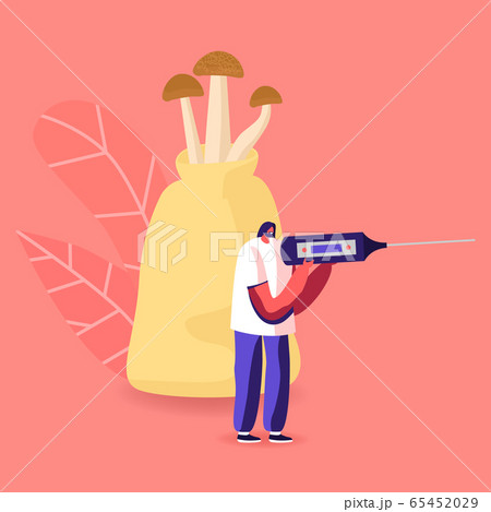 Tiny Female Character Holding Nitrate Tester Stand at Huge Cep Mushrooms Growing Up in Bag with Fertilizers 65452029