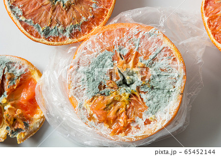 Ugly mold on orange in cellophane package on grey. 65452144