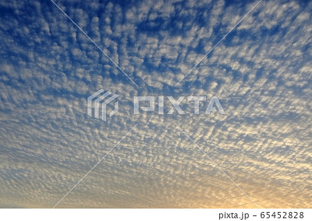 早朝のうろこ雲 65452828