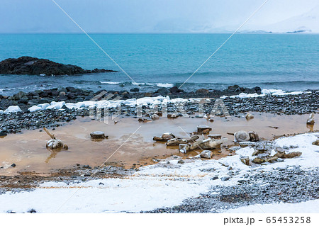 Antarctica, Beautiful landscape and scenery in Antarctica, Beautiful landscape and scenery in 65453258