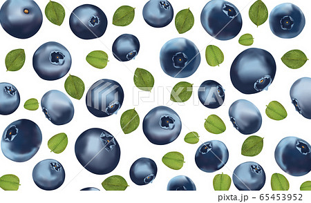 Background blueberry. Freshly picked blueberry with green leaf. Organic food.Texture blueberry. Useful ripe blueberry rich vitamins. 3D realistic illustration. Background blueberry. Freshly picked blueberry with green leaf. Organic food.Texture blueberry. Useful ripe blueberry rich vitamins. 3D realistic illustration. 65453952