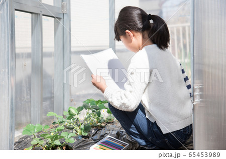 写生する小学生の女の子 65453989