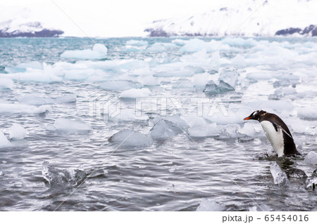 Beautiful landscape and scenery in Antarctica 65454016
