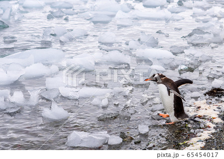 Beautiful landscape and scenery in Antarctica 65454017