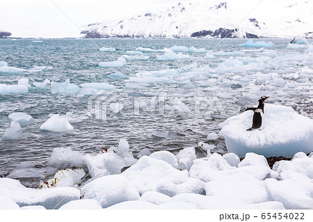 Beautiful landscape and scenery in Antarctica 65454022