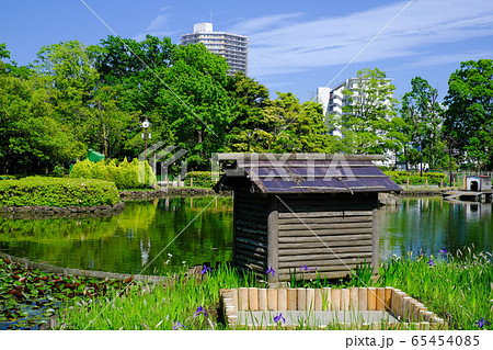 荒川自然公園 新緑の風景 荒川自然公園 新緑の風景 65454085