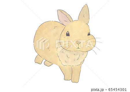 Illustration Of A Real Cute Rabbit Stock Illustration