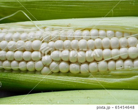 鮮度 有機 トウモロコシ 65454648