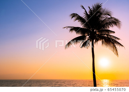 Beautiful Silhouette coconut palm tree on sky neary sea ocean beach at sunset or sunrise time 65455070