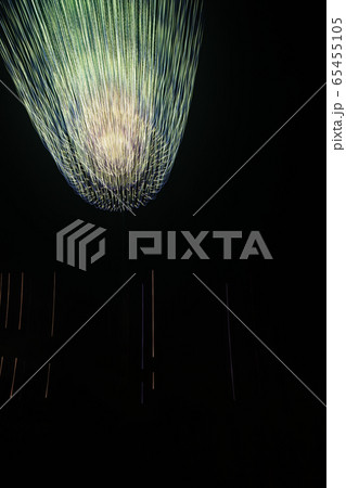 秋田　大曲の打ち上げ花火 65455105