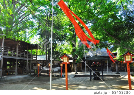 世田谷区　等々力渓谷　等々力不動境内の本堂と見晴台と新緑 65455280