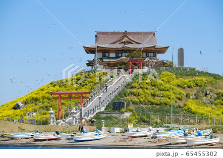 蕪の花が咲く蕪嶋神社 65455302