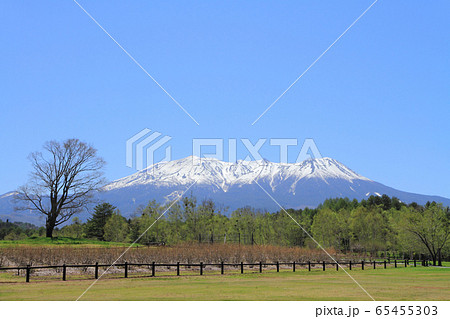開田高原木曽馬の里から望む御岳山 65455303