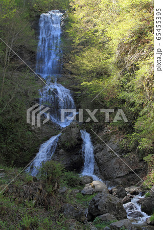 唐沢の滝 木曽 唐沢の滝 木曽 65455395