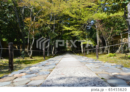 鹿王院の庭園(京都市右京区嵯峨北堀町) 鹿王院の庭園(京都市右京区嵯峨北堀町) 65455620