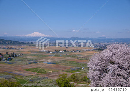 桜と鳥海山 桜と鳥海山 65456710